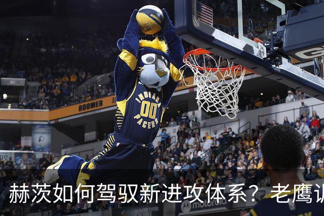 赫茨如何驾驭新进攻体系？老鹰训练营最大疑问浮现
